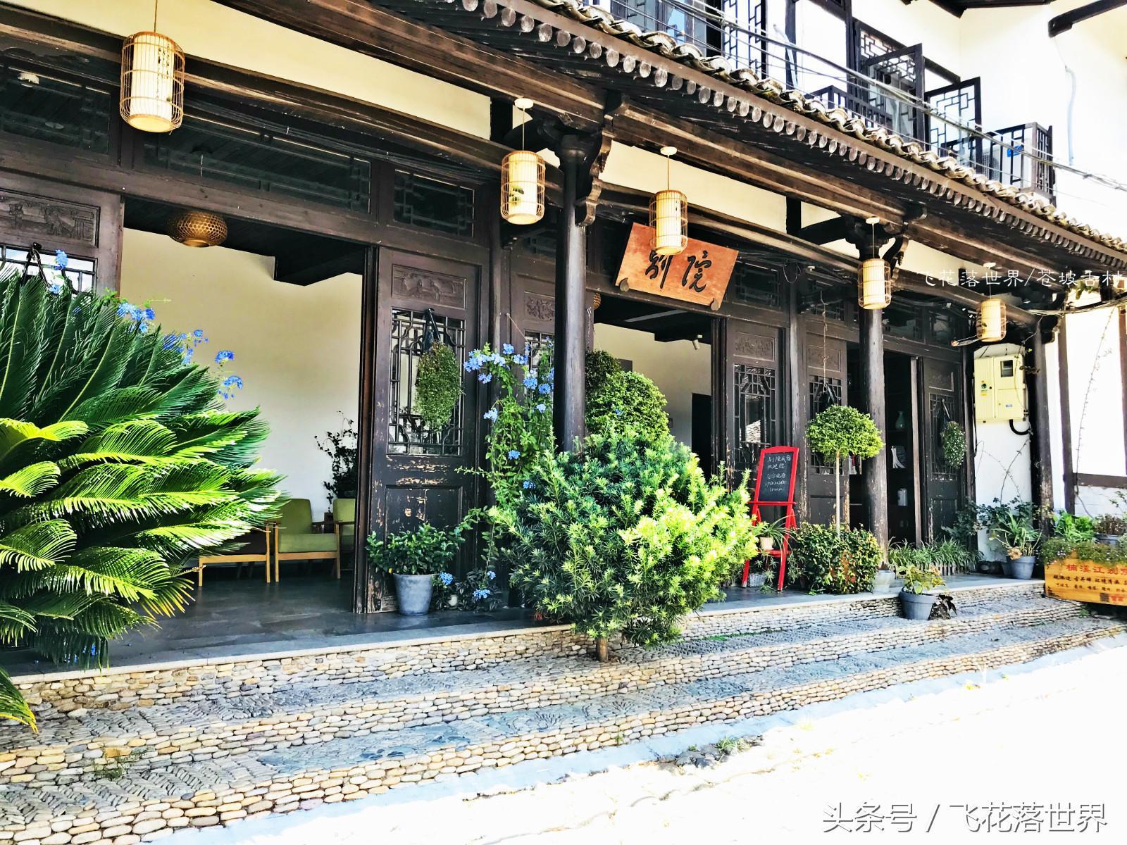 永嘉最新建筑探索，現(xiàn)代都市新地標亮相