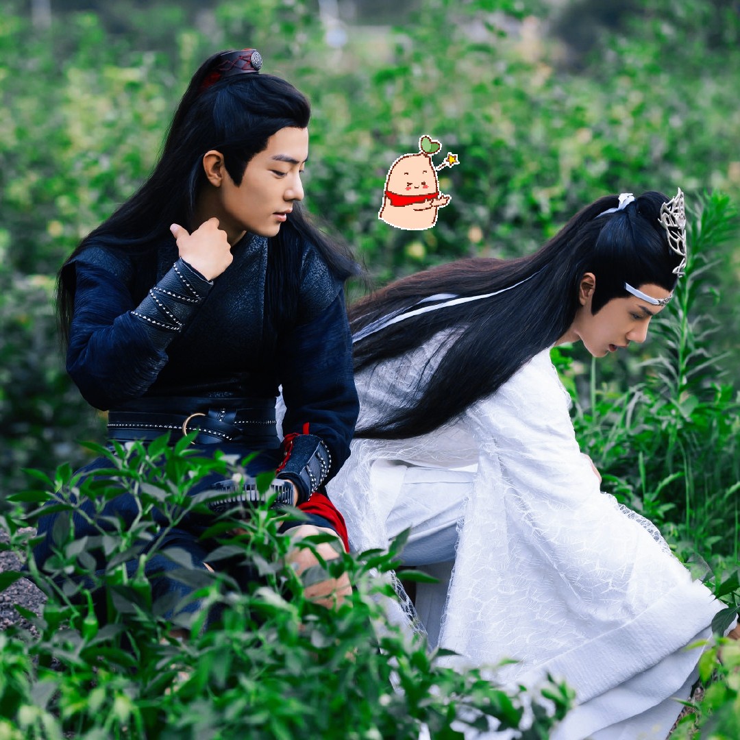 陳情令最新花，花海中的溫馨奇遇