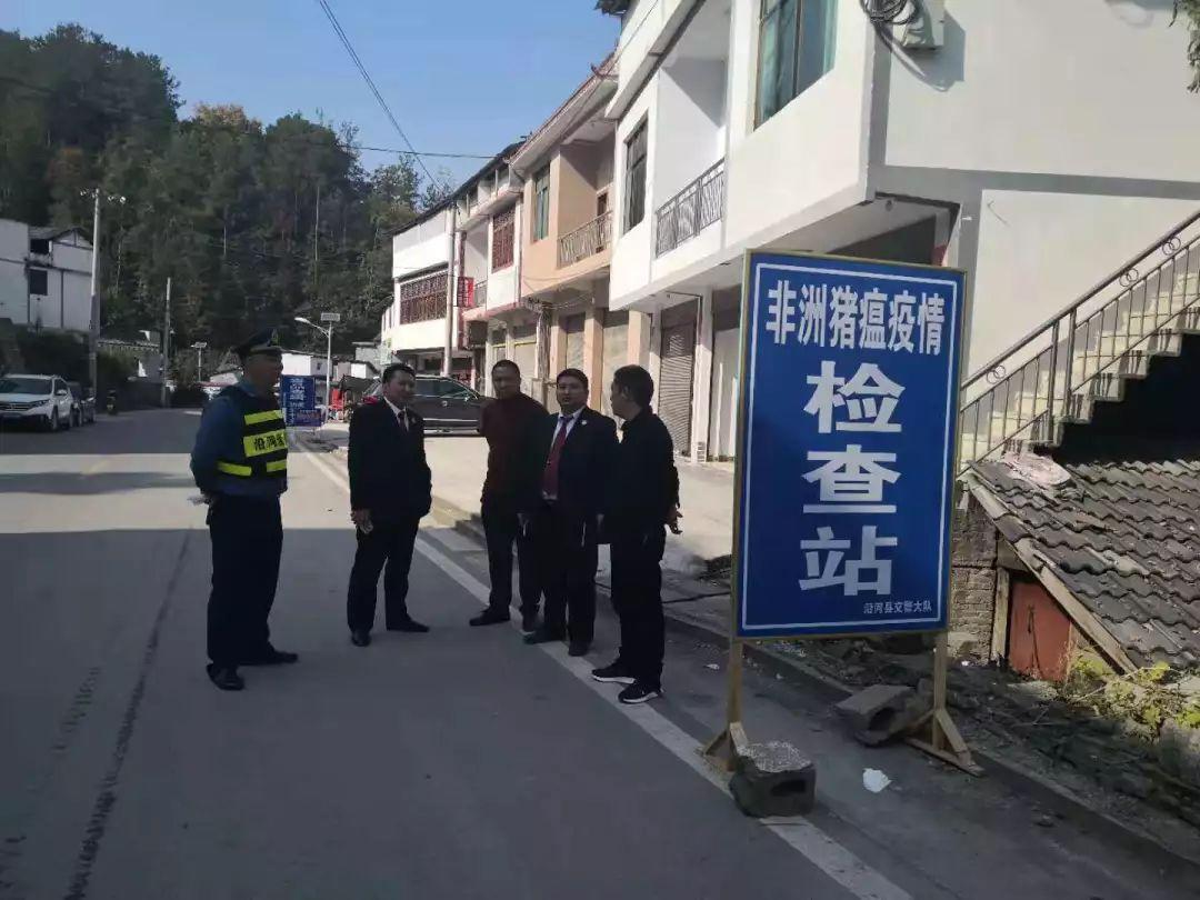 最新非洲疫情動(dòng)態(tài)及應(yīng)對(duì)步驟指南