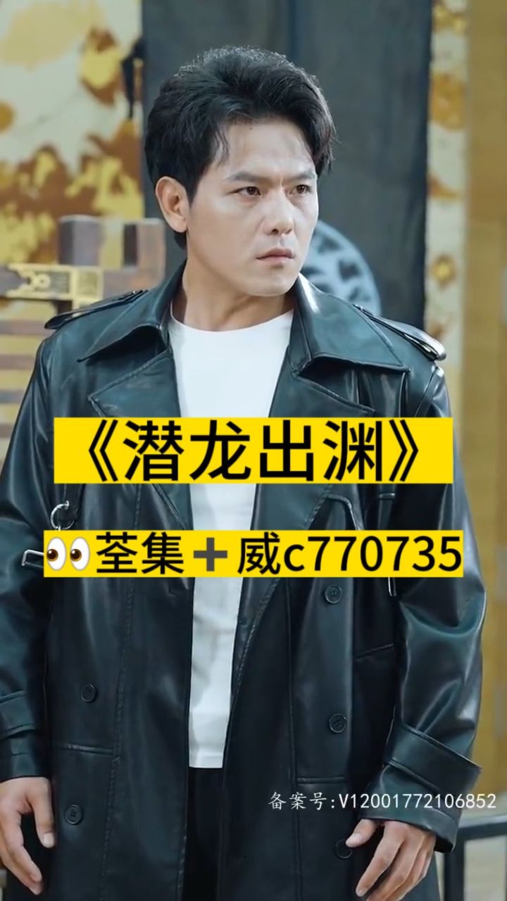 淘龍最新視頻，日常趣事與愛之陪伴