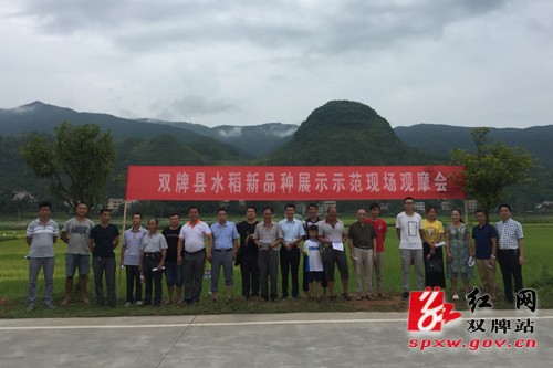 雙牌縣新時(shí)代新面貌，探尋最新發(fā)展與變化