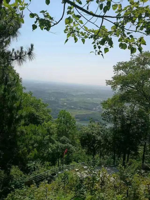 華容縣東山鎮(zhèn)最新項目，引領地區(qū)發(fā)展的強大驅動力
