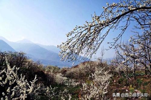 漢源九襄鎮(zhèn)最新規(guī)劃圖揭秘，藍圖下的繁榮未來