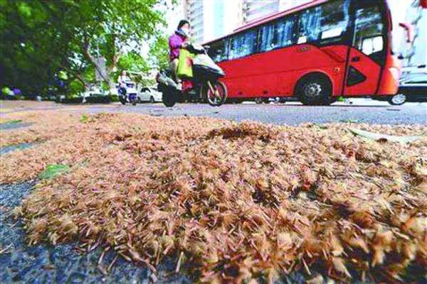 南京招聘網(wǎng)最新招聘信息上線，你的職業(yè)新起點！??南京招聘網(wǎng)全新上線58版?