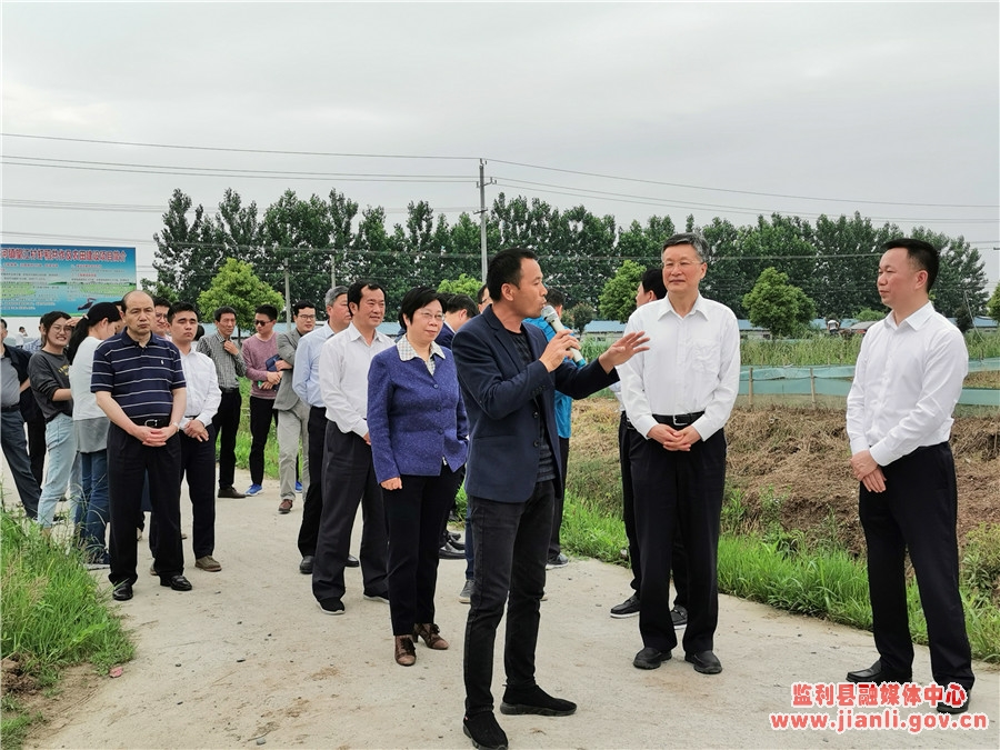 監(jiān)利盧國洪最新動態(tài)及小巷獨特風(fēng)味探秘