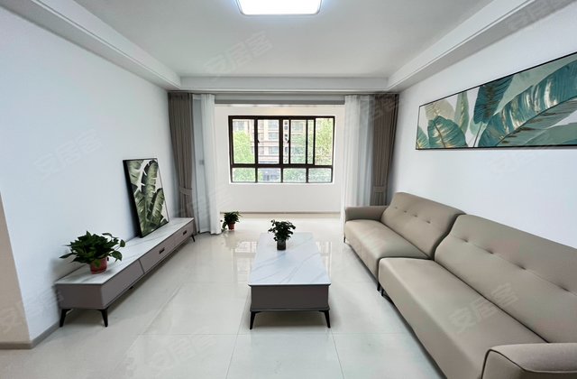 新沂最新二手房購買指南，從初學者到進階用戶的詳細步驟與選擇建議