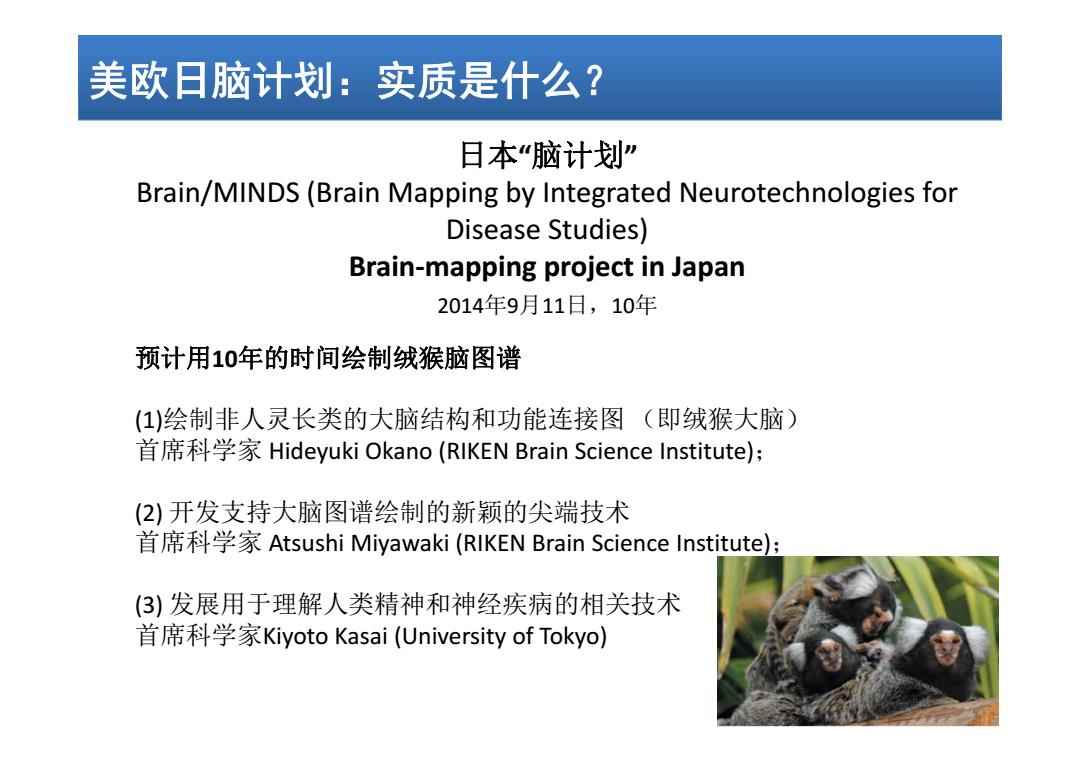 日本腦計劃最新進展揭秘，溫馨日常的新突破