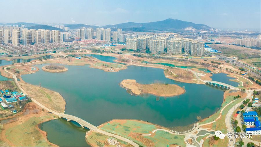 ??仙林湖公園最新動(dòng)態(tài)更新??