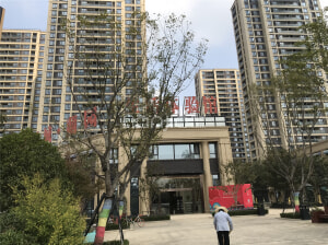 蕭縣綠城樓盤最新動態(tài)，市場深度解析與個人觀點