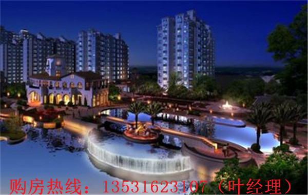 大亞灣羅建強(qiáng)最新消息，深度解析各方觀點(diǎn)與個(gè)人立場(chǎng)闡述