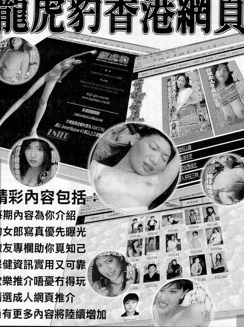 香港龍虎豹最新地址揭秘，探索自然美景，尋覓內(nèi)心寧靜之旅