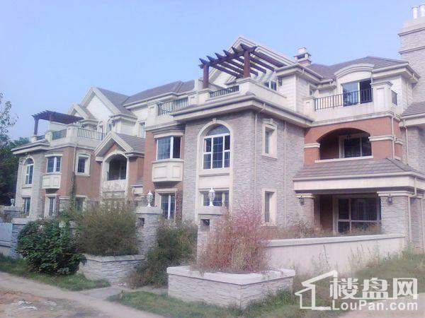 唐山鄉(xiāng)居假日最新動態(tài)更新通知